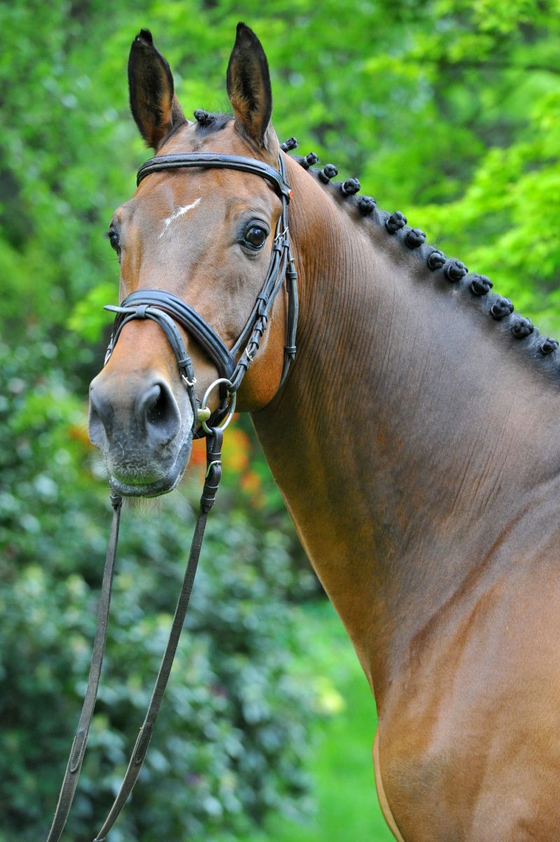 jafar-w_photo