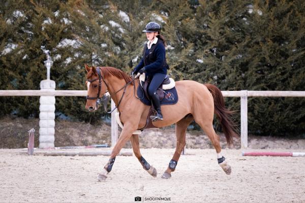 darco-des-eygauds_photo