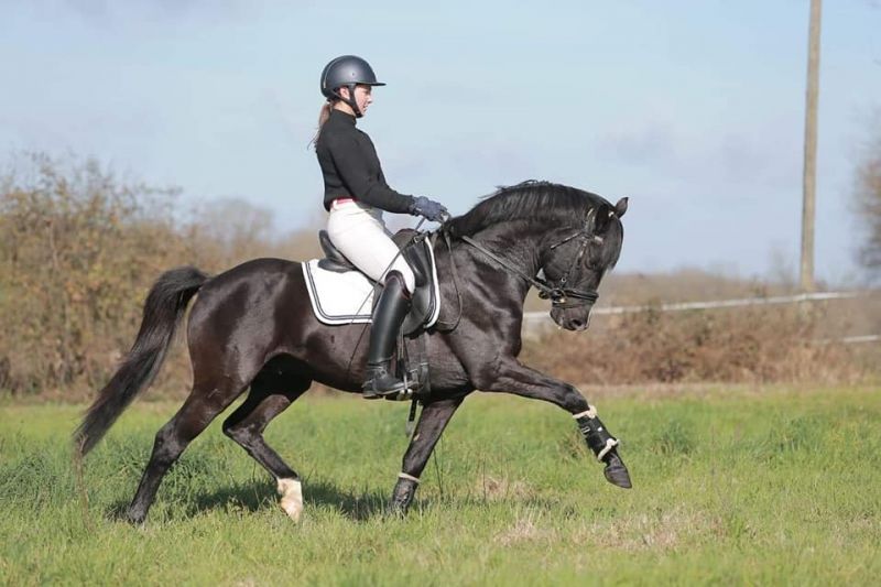 follow-me-fast_photo