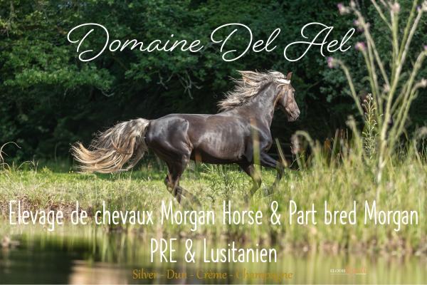 orome-del-ael_photo