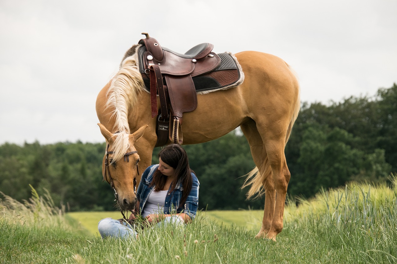 équitation western