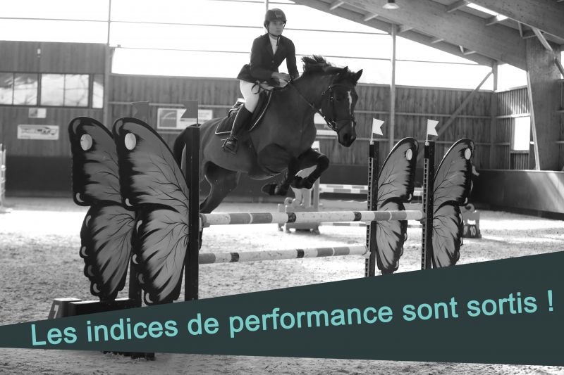 Indices de performance ISO