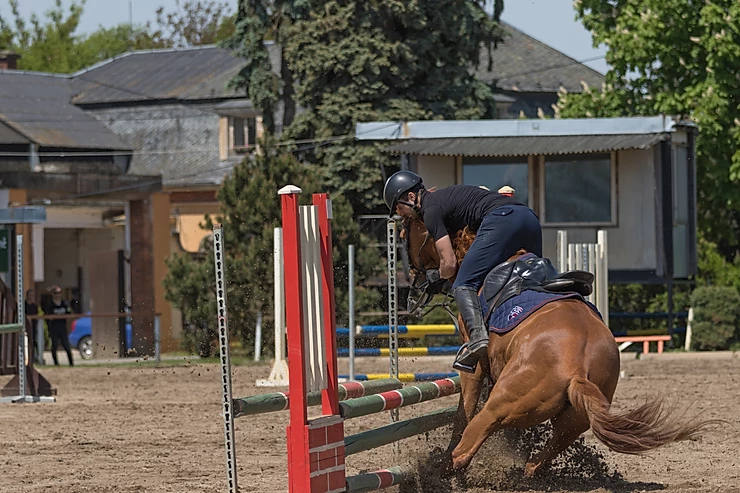 cheval tombe saut obstacle