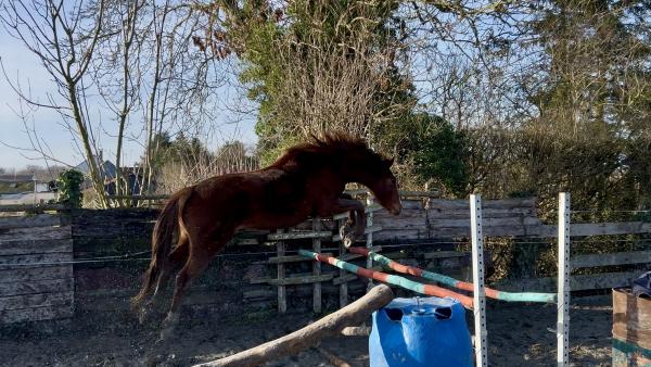 MIC MAC DES FALAISES