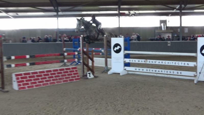 Pluto van de Claevervallei