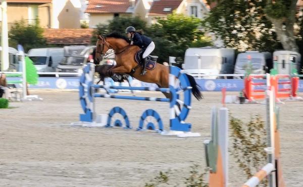 Kingsman des Allees