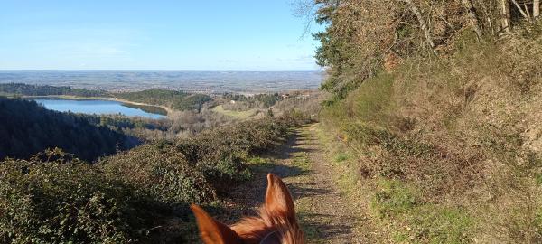 photo du professionnel équestre Les chevaux et moi spécialisé en 