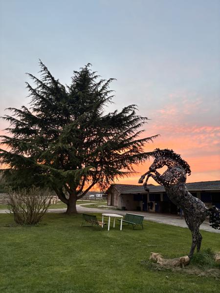 photo du professionnel équestre Haras Boréal - Ecuries Laura Saine spécialisé en 