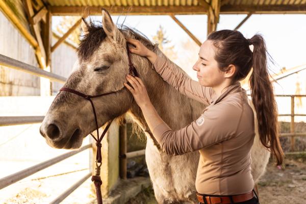 photo du professionnel équestre Horsilia - Massage équin spécialisé en 