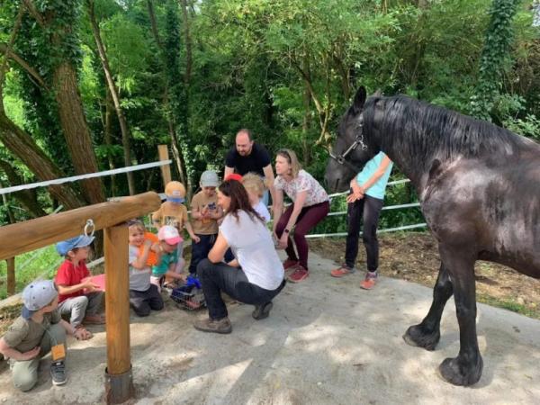 photo du professionnel équestre Marie Galinier spécialisé en name