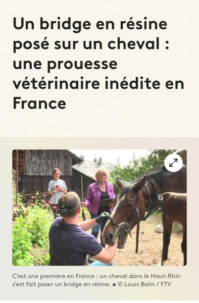photo du professionnel équestre sophie lanz spécialisé en 