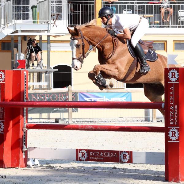 photo du professionnel équestre Driss Atassi spécialisé en name