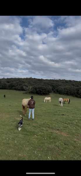 Domaine du Tipi Élevage photo 1