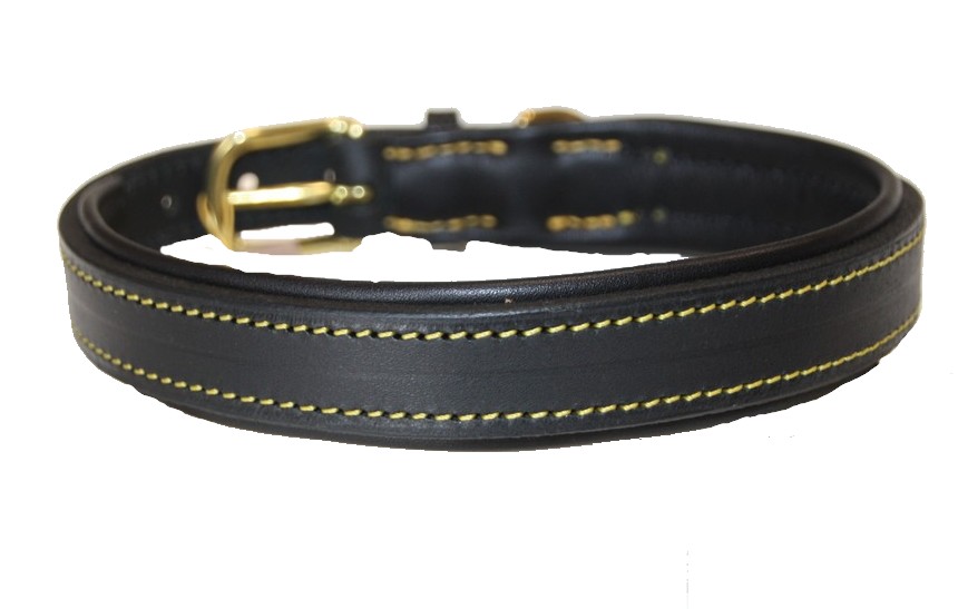 Collier de chien Classique photo 2 photo