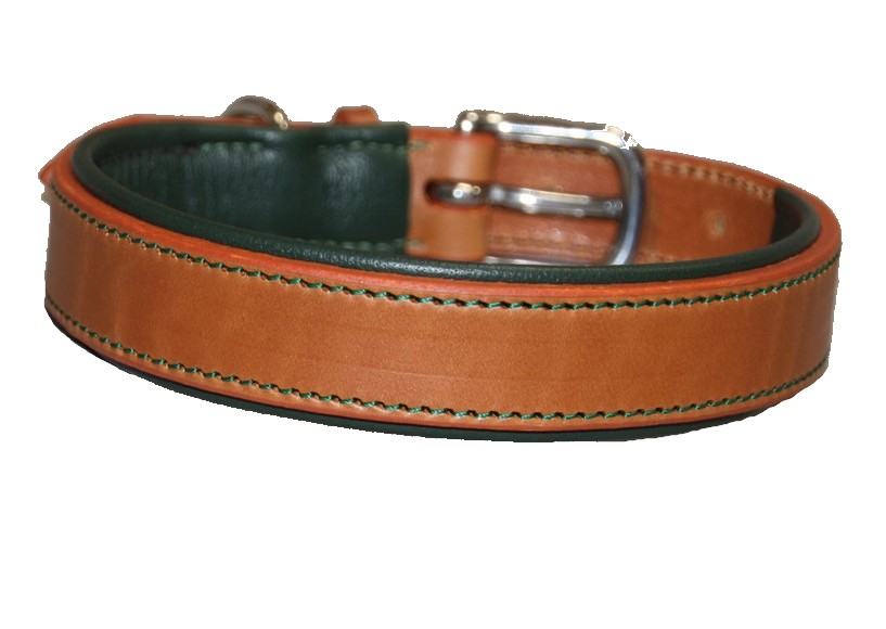 Collier de chien Classique photo 3 photo