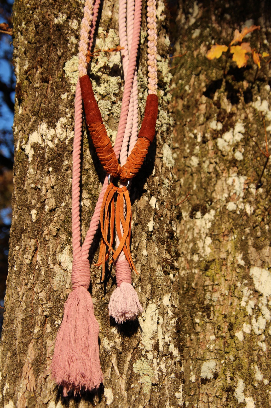 Cordelettes / collier d'encolure photo