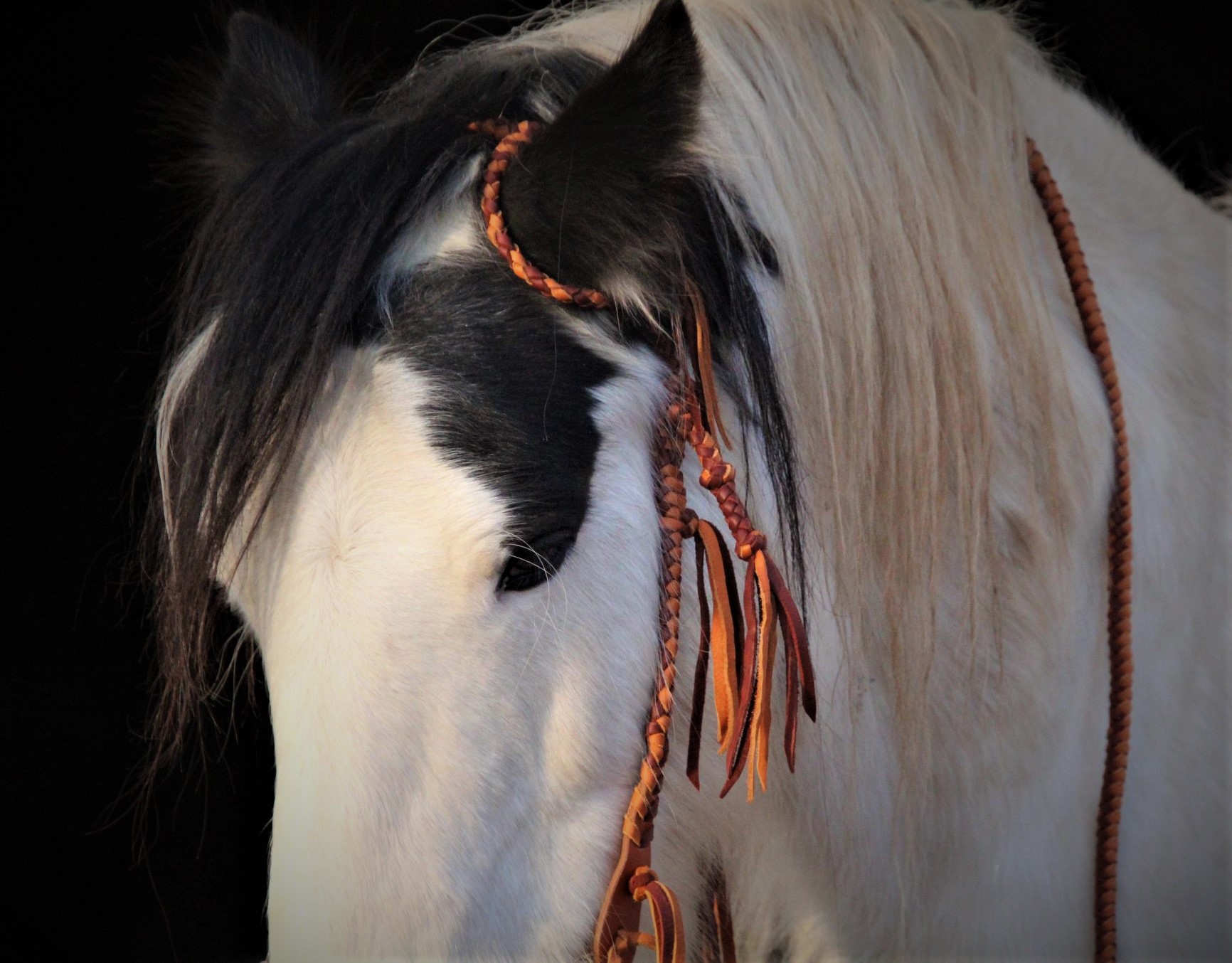 Filet western BANNOCKS photo 2 photo