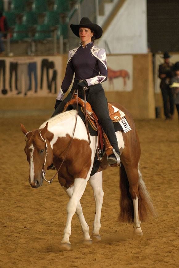 earl-ferme-equestre-de-montigny_photo 1