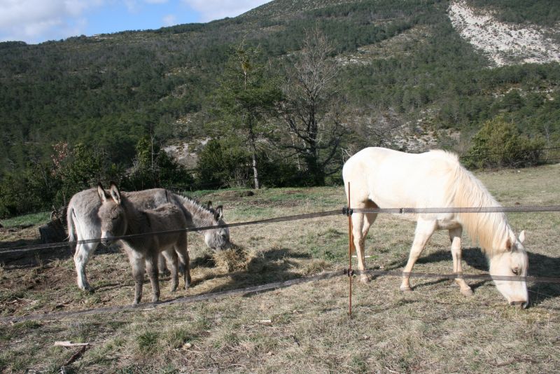 domaine-du-cruvelet_photo 2