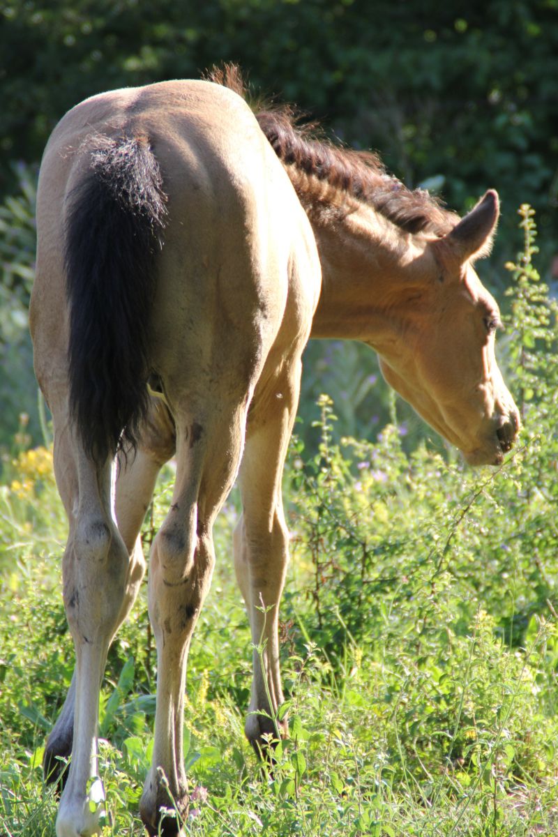 domaine-du-cruvelet_photo 0