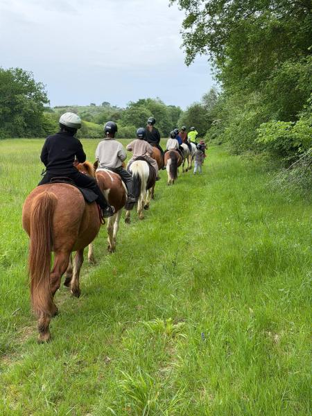 ferme-equestre-de-lupiac_photo