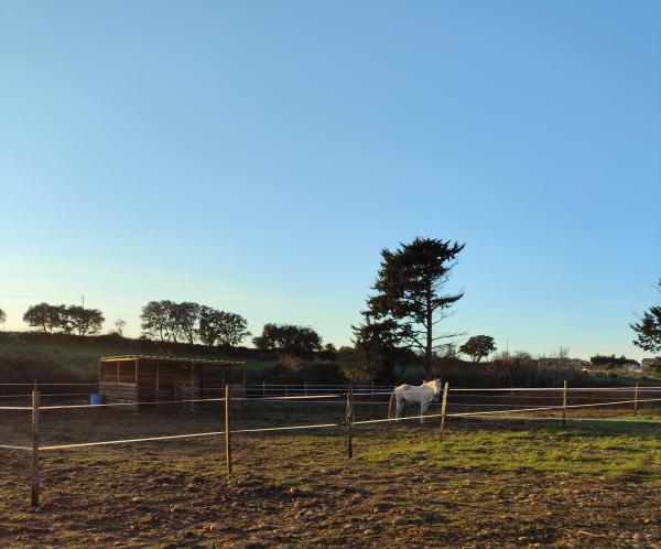 ecurie-la-vista_photo