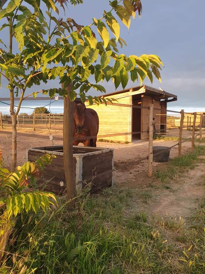 les-écuries-du-redon_photo