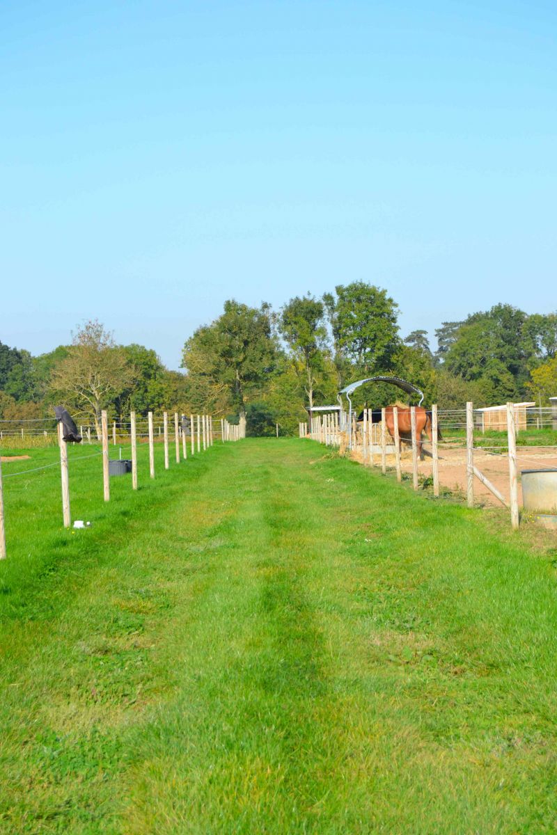 haras-du-lieu-blanc_photo