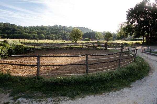 haras-de-fontaineliveau_photo