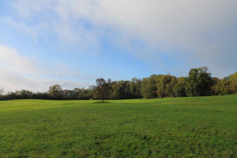 haras-du-lieu-blanc_photo