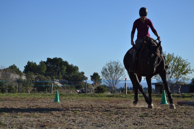 centre-d’Éducation-et-d’Équitation-Éthologique_photo