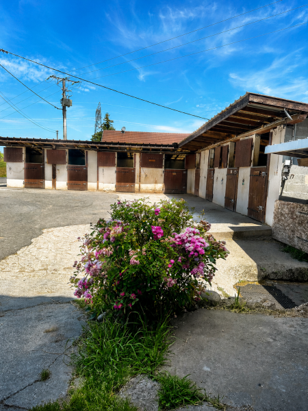 les-ecuries-de-l-aube_photo