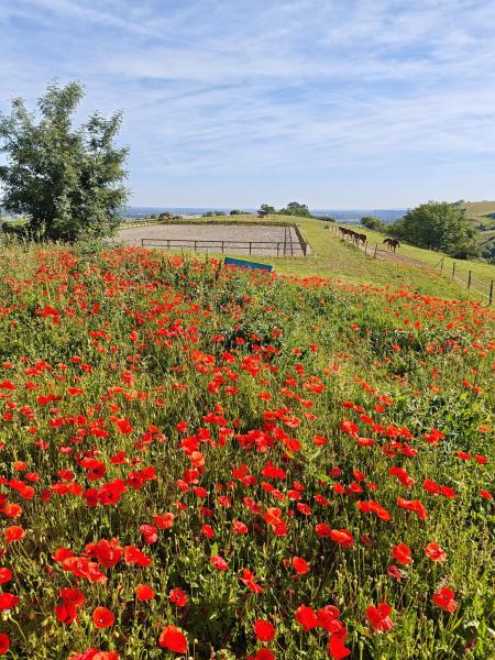 domaine-de-la-pouege_photo