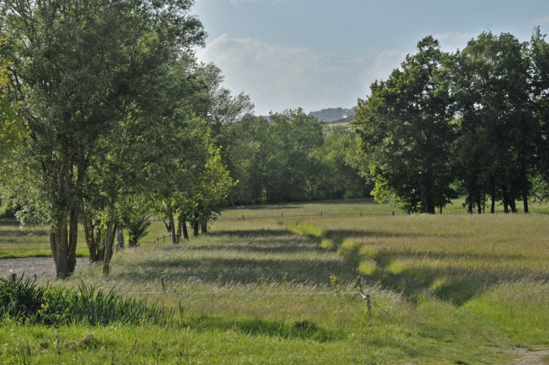 la-voie-des-champs_photo