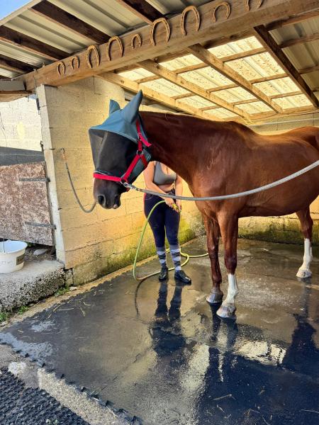 les-ecuries-de-l-aube_photo