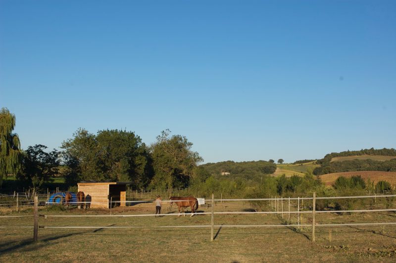 centre-d’Éducation-et-d’Équitation-Éthologique_photo