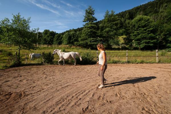 au-galop-vers-la-liberte-en-chemin-vers-soi_photo