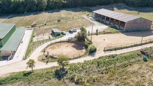 haras-de-fontaineliveau_photo