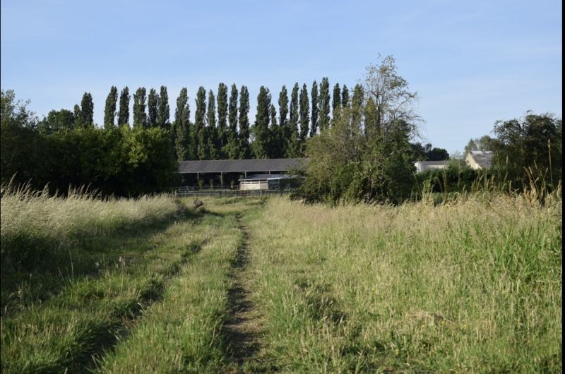 centre-équestre-le-comte_photo