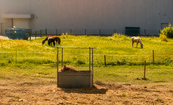 les-ecuries-de-l-aube_photo