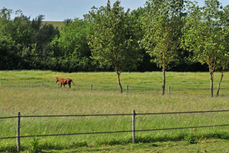 la-voie-des-champs_photo