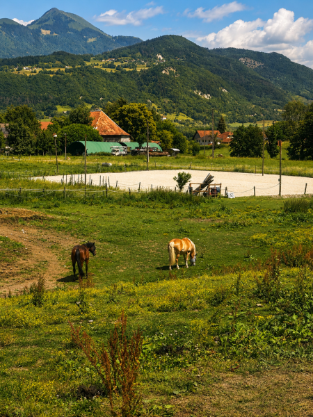 les-ecuries-de-l-aube_photo