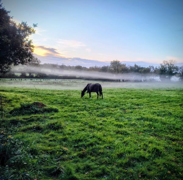 ecurie-de-la-haute-vergne_photo