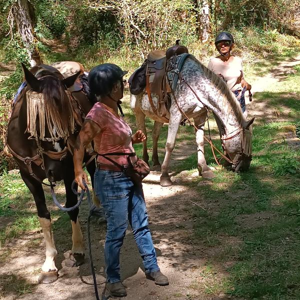 le-ranch-des-centaurees-2_photo