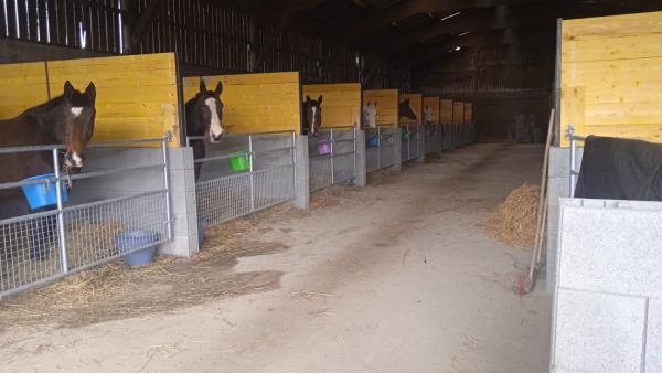 domaine-equestre-de-la-repontaille_photo