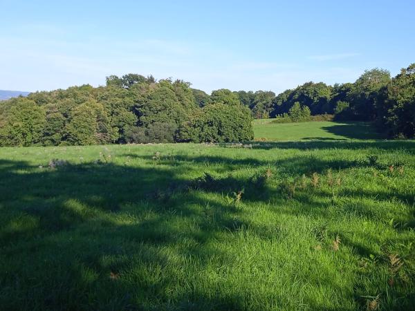 domaine-equestre-de-la-repontaille_photo
