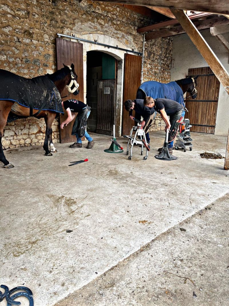 foeller-sport-horses_photo
