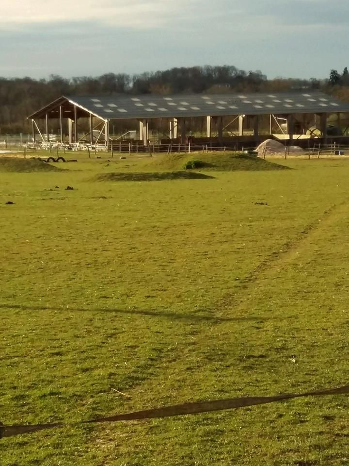 earl-ferme-equestre-de-montigny_photo