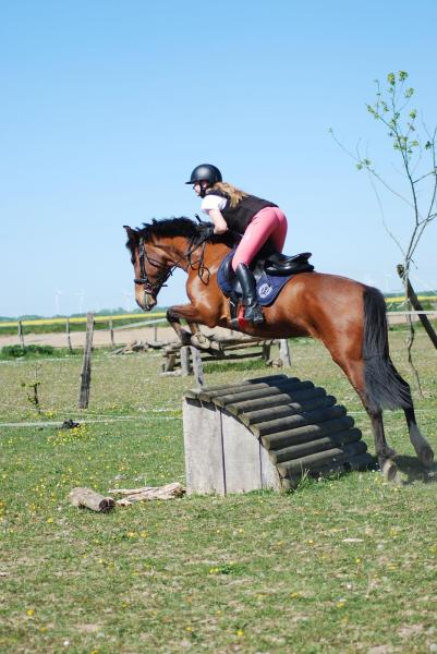 les-ecuries-de-thuisy_photo