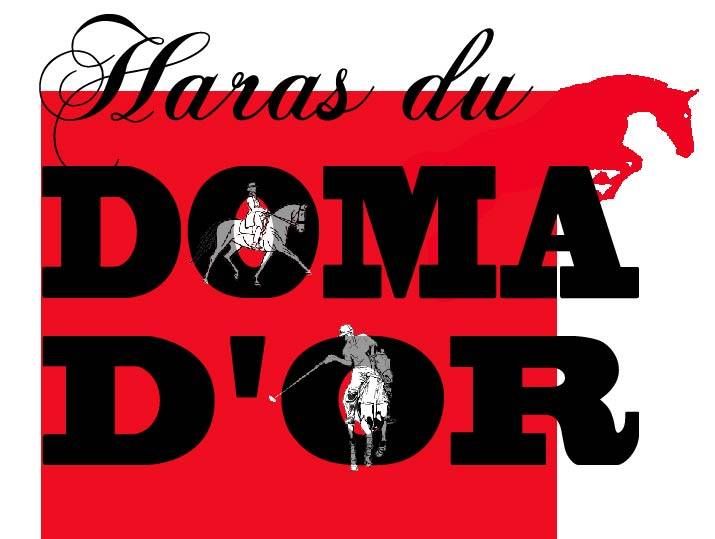 HARAS DU DOMADOR logo